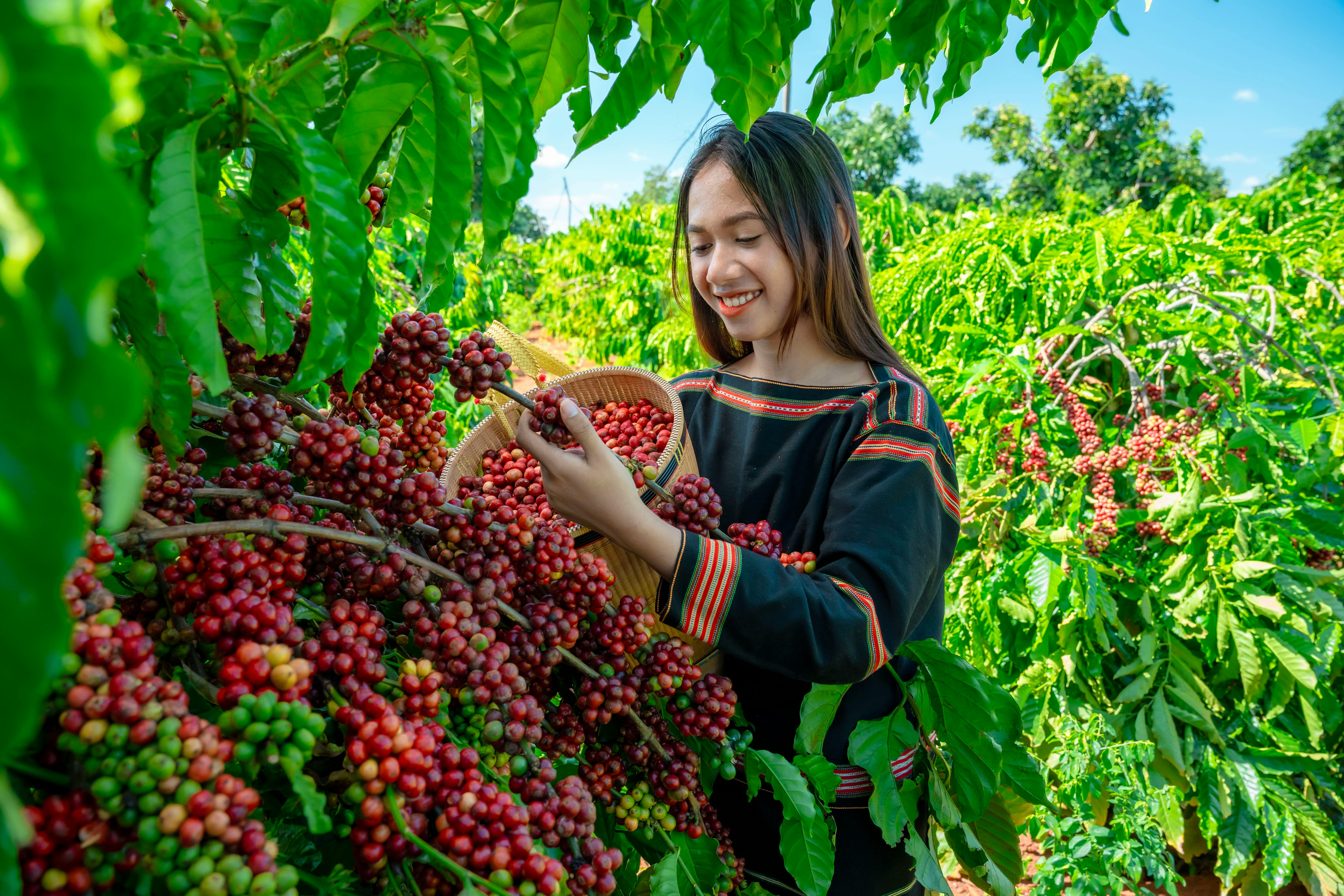 1. Sourcing from Farmers