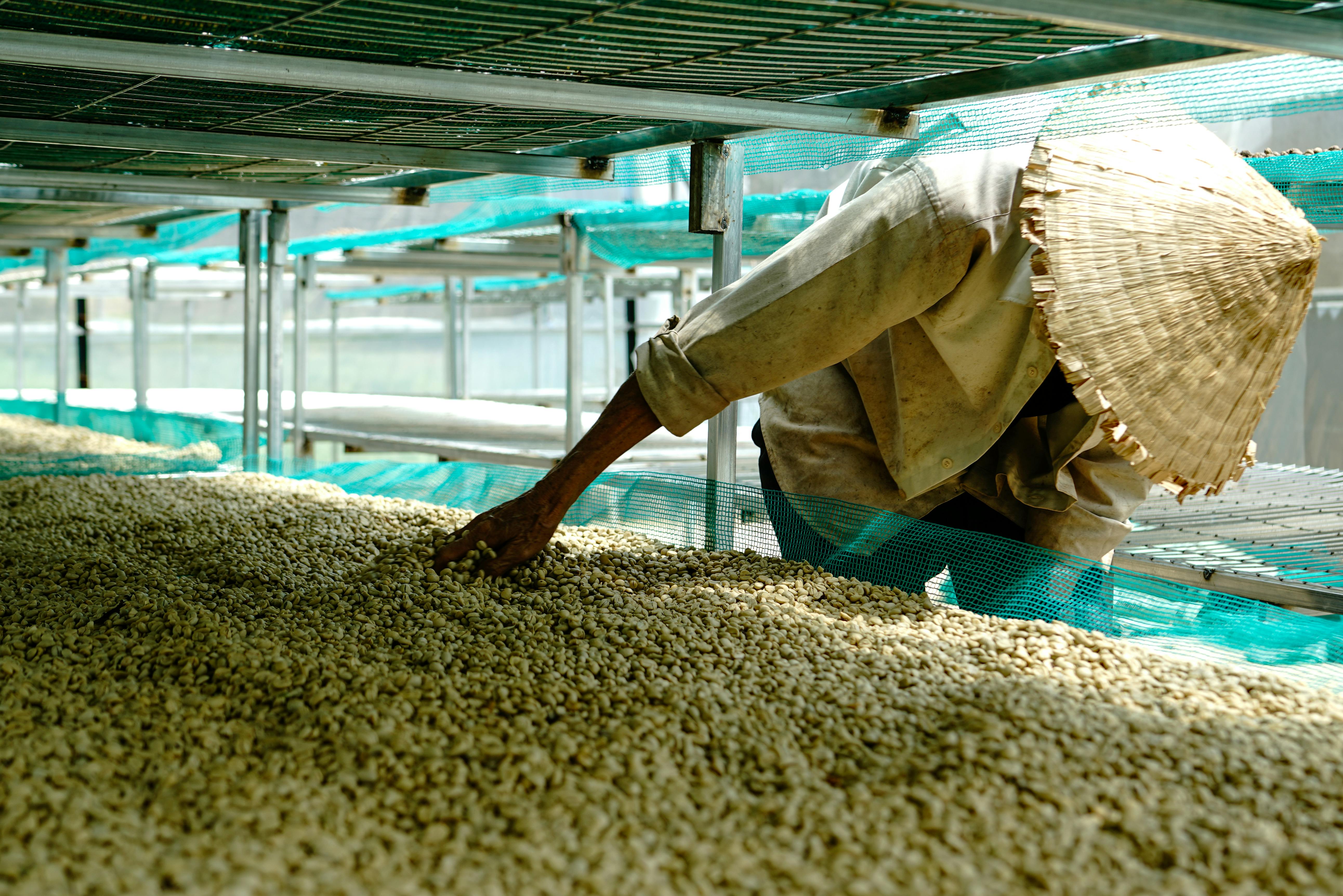 4. Drying Process