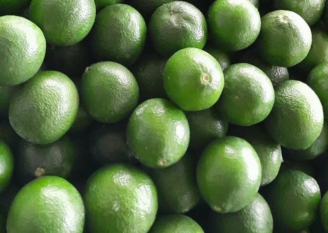 Chanh vụ mùa hè