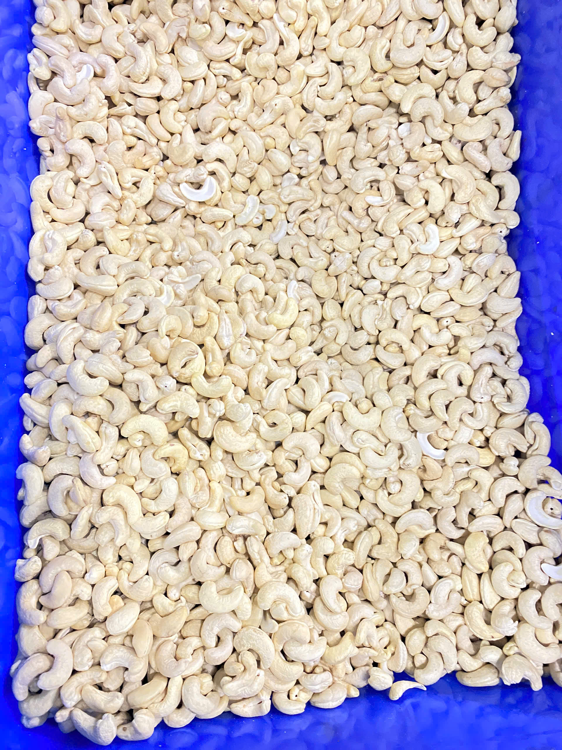 Cashew nuts